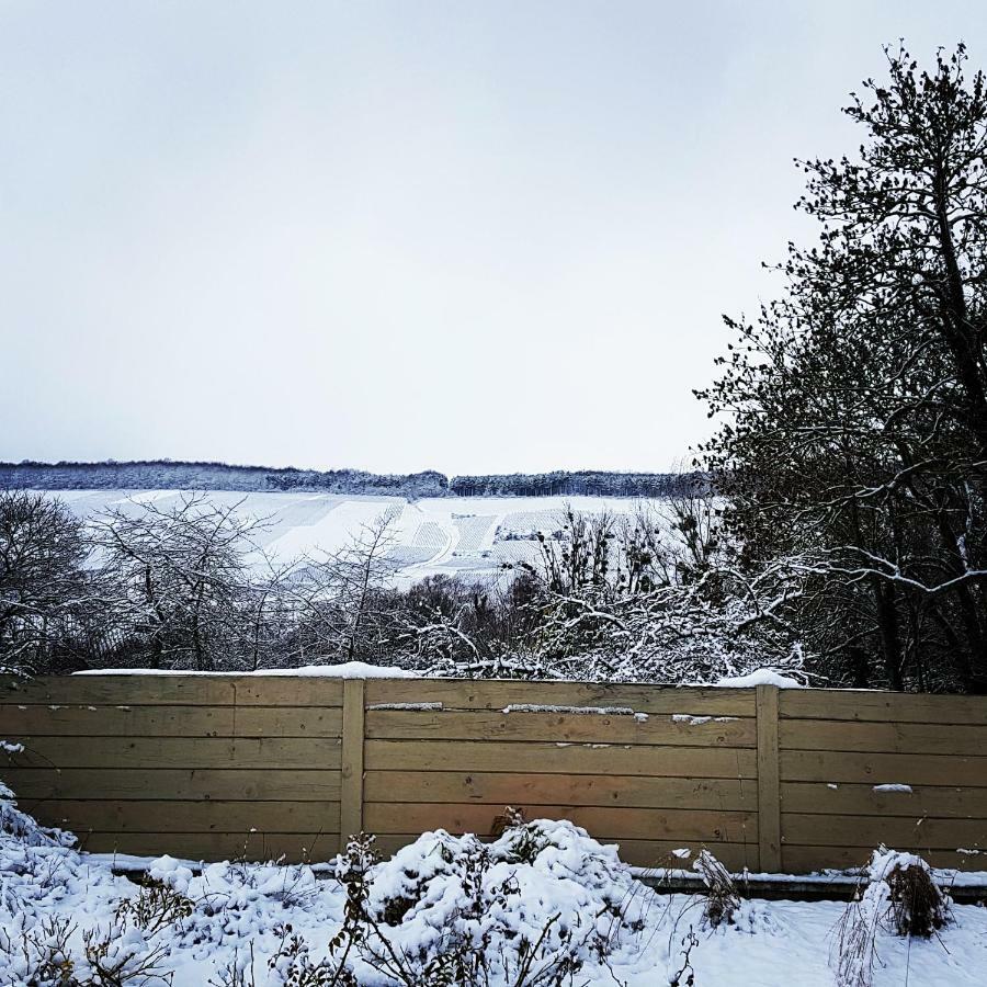 Gite Millesime Et Une Nuit Villers-sous-Châtillon Zewnętrze zdjęcie